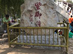 -皇家御河游(紫御湾码头)