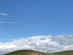 -贡格尔草原