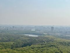 -紫金山山顶公园