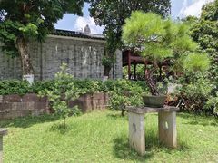 -碧江金楼