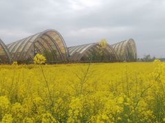 -中国天府农业博览园