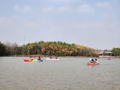 -上海海湾国家森林公园