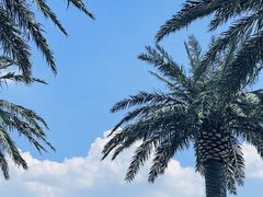 -上海玛雅海滩水公园