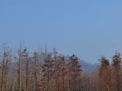 -南通鹏欣花园国宾酒店
