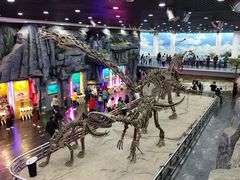 -吉林省自然博物馆