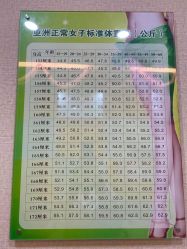 -摩瘦纤体订制减肥