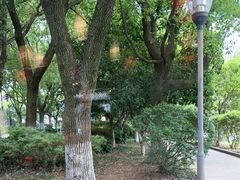 -绍兴老味道·非遗门店(银泰城店)