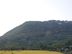 -风云岭森林公园
