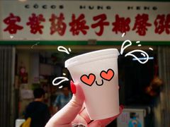 -洪馨椰子