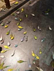 -酷嗒动物文化乐园(cutezoo西溪乐天城店)