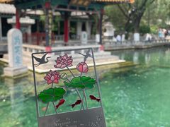 -趵突泉景区