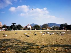 -玄武湖景区-情侣园游乐场