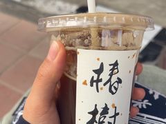 -椿树咖啡