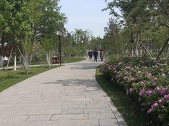 -西海子公园