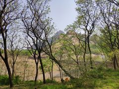 -嵖岈山风景区