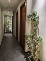 -芳香乐府SPA·五行芳疗