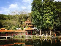 -深圳仙湖植物园