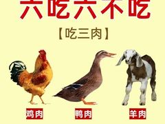 -本觉禅拍