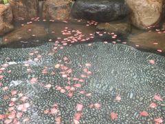 -厦门日月谷温泉渡假村