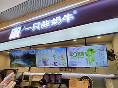 -一只酸奶牛(时代天街A馆店)
