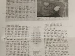 -北京观赏动物医院·24小时大型综合·猫专科·异宠专科