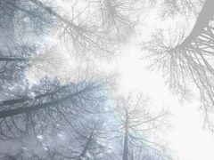 -硗碛藏寨·神木垒景区