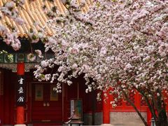 -元大都城垣遗址公园