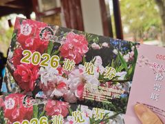 -南汇桃花村