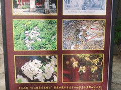 -北京上方山国家森林公园