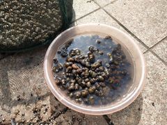 -东钱湖小普陀景区