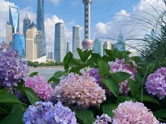 -北外滩滨江绿地