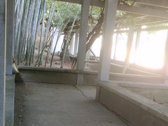 -峙山公园