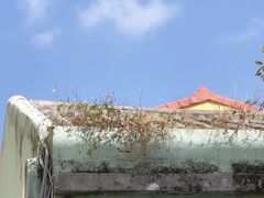-世记咖啡(氹仔外卖店)