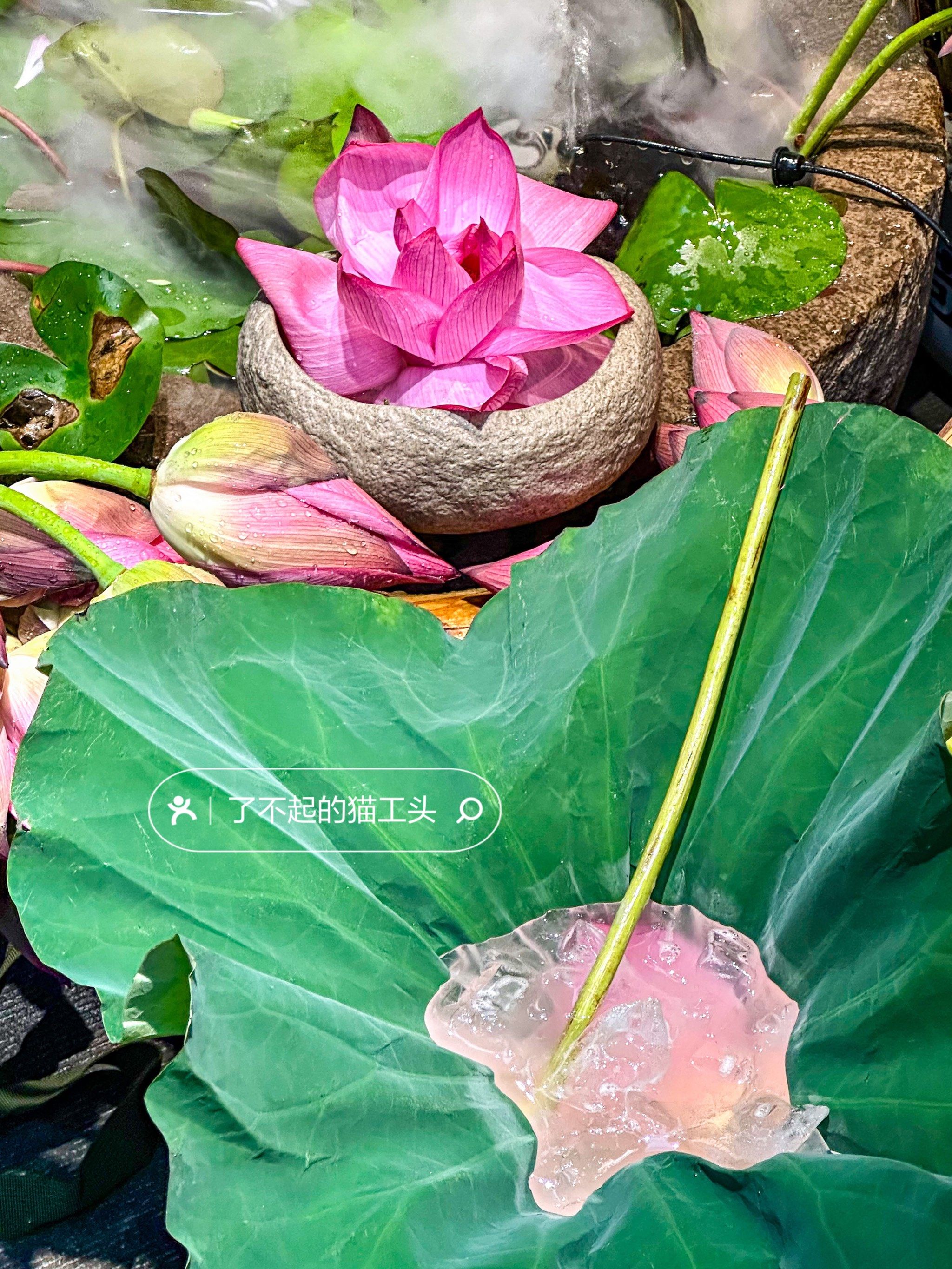 我们绍兴人喝酒是用荷叶装的