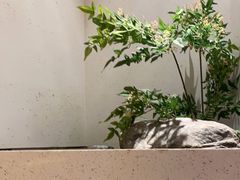 -蜜桃餐厅·伴山(绿宝广场店)