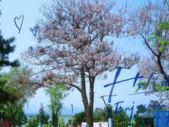 -青龙湖公园