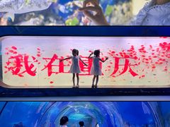 -重庆欢乐海底世界