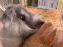 -龙猫仔乐园(惠福东路店)