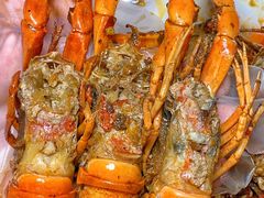 -江味龙虾馆·裸蓝龙虾(南山店)