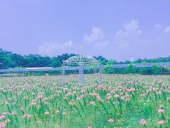 -盈香心动乐园