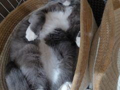 -奈雪的茶(时代天街店)