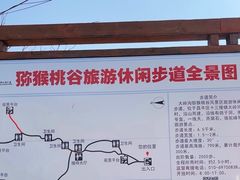 -大岭沟猕猴桃谷风景区
