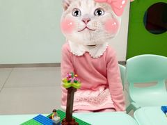 -乐博乐博少儿编程·乐高机器人编程·信息学竞赛(天虹校区)