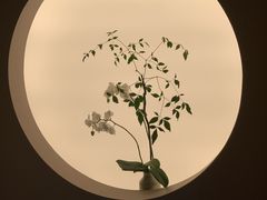 -炎橘·板前料理 Omakase