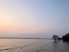 -宝安西湾红树林湿地公园