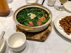 豌豆苗-眉州东坡(远洋未来广场店)