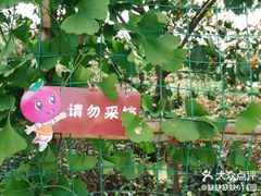 -樱桃山旅游景区