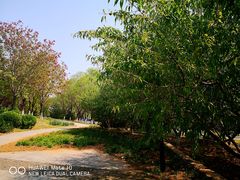 -永定河休闲森林公园