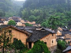 -杨家堂村
