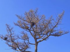 -五台山风景区